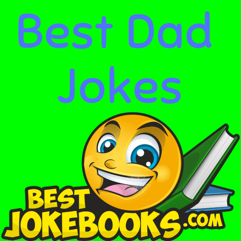 best dad jokes book