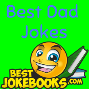 best dad jokes book